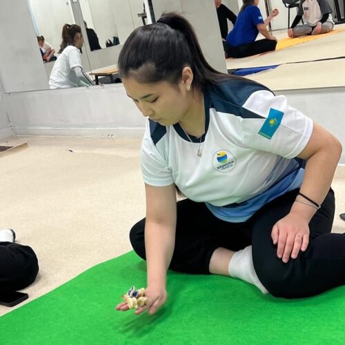 Спорт шагает по области: курс на здоровое будущее.