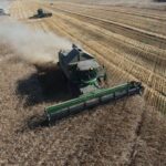 Акмолинская область усиливает аграрный рост: новые рекорды и экспортный рывок