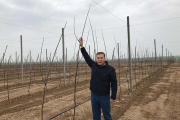 Казахстан движется в правильном направлении – депутат