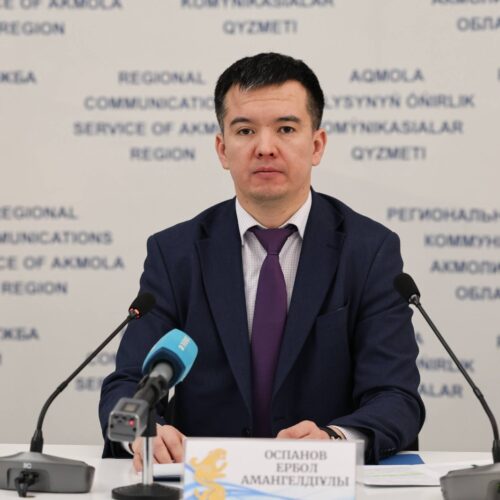 Более 300 проверок: итоги госконтроля за рынком в Акмолинской области