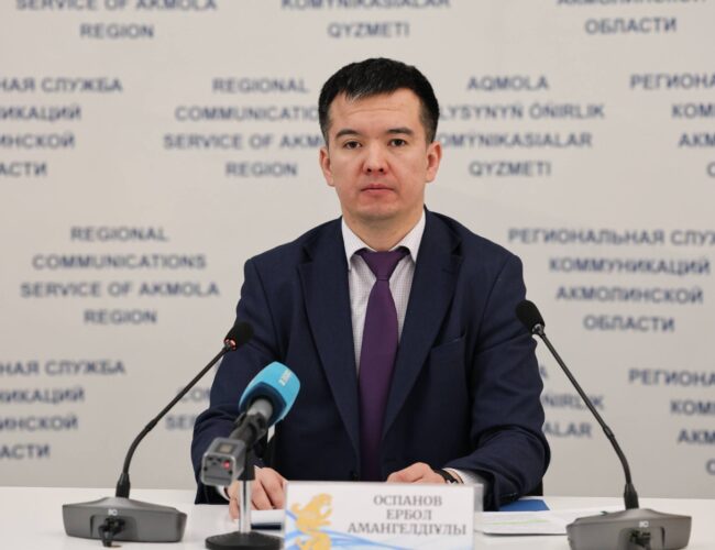 Более 300 проверок: итоги госконтроля за рынком в Акмолинской области