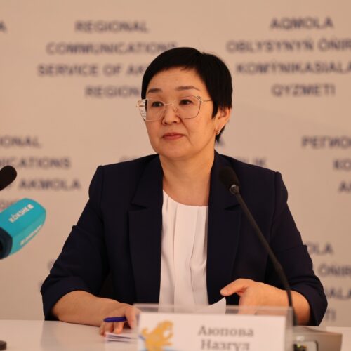 Ақмола облысында кәсіпкерлер үшін жаңа салық режимдері іске қосылды