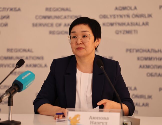 Ақмола облысында кәсіпкерлер үшін жаңа салық режимдері іске қосылды