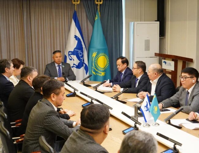 «Ақ жол» Демократиялық партиясы Ұлттық кеңесінің пленумы Жаңа Конституция жобасын қолдады