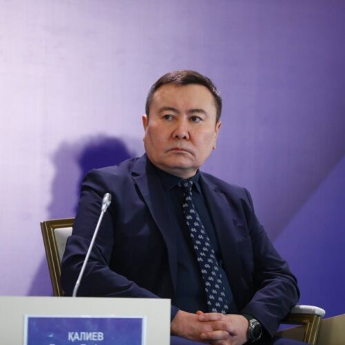 Казахстан делает ставку на сильные институты – Талгат Калиев