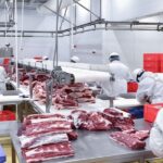 «Щучинский МПК» ЖШС ұжымы республикалық референдумды қолдайды