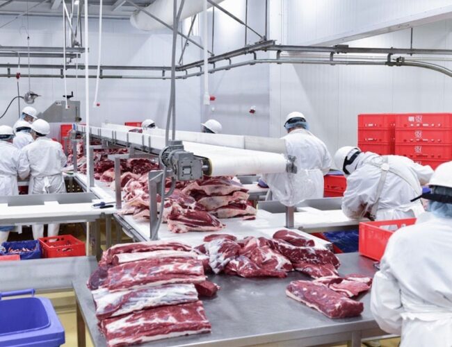 Коллектив ТОО «Щучинский МПК» поддерживает республиканский референдум