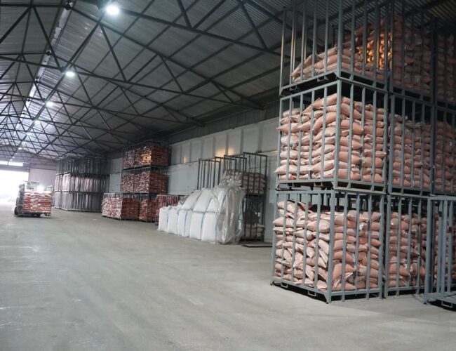 Как Акмолинская область становится лидером глубокой переработки сельхозпродукции