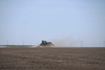 Как в Есильском районе проходит посевная овощных культур
