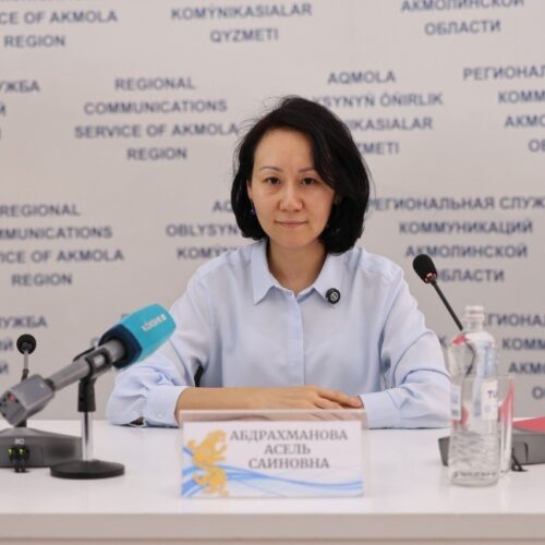 В Акмолинской области развивают IT-образование и поддержку стартапов