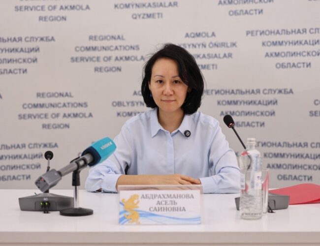 В Акмолинской области развивают IT-образование и поддержку стартапов