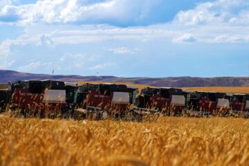 Президенттің АӨК өнімділігін арттыру жөніндегі тапсырмаларын орындау: егін жинау науқаны өткен жылдан екі есе жылдам жүріп жатыр